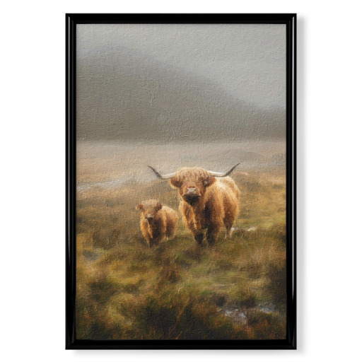 Hochlandrinder und Baby