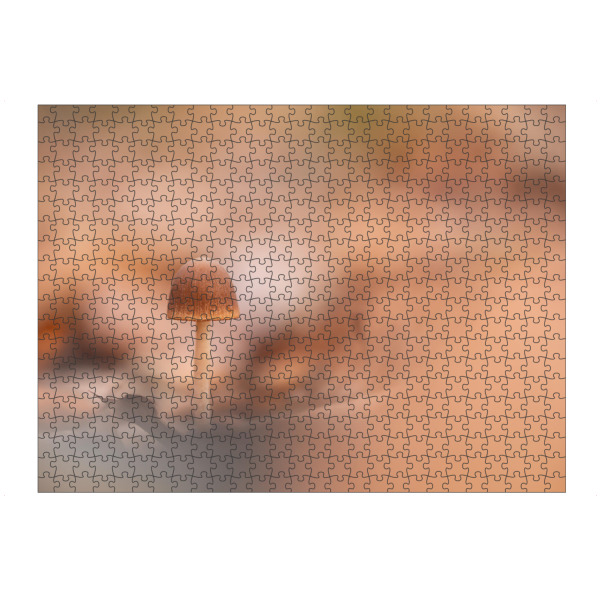 Puzzle Ravensburger "Kleiner Pilz im Wald" artboxONE - Natur - Pilzchen,Waldpilz,Waldboden,Winzig,Herbstlaub,Blätter,Makrofotografie,Nahaufnahme