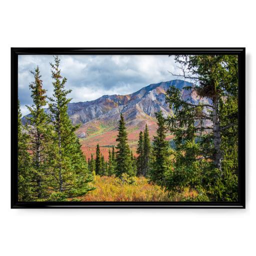 Bunter Herbst in Alaska
