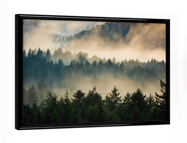 Poster mit schwarzem Rahmen "Nebel im Wald" artboxONE - Natur,Reise
