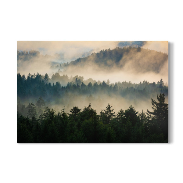 Galerie-Print "Nebel im Wald" 30x20 cm artboxONE