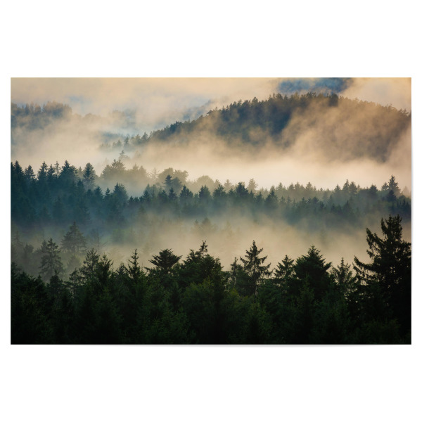 Poster 30x20 cm "Nebel im Wald" artboxONE - Natur,Reise - Wald,Bayerischer wald,Bäume,Berge,Grafenau,Nebel,Sonnenuntergang,Bayern,Deutschland