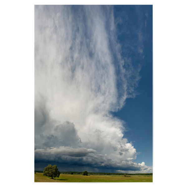 Poster 30x20 cm "Gewitterfront im Oderbruch" artboxONE - Natur