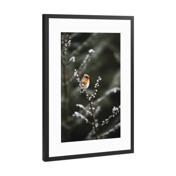 Poster mit Rahmen Schwarz (Metallic) "Junges Rotkehlchen" artboxONE - Natur,Tiere,Für Mama