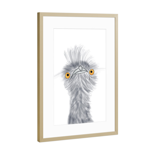 Poster mit Rahmen Gold "Emu Vogel" artboxONE - Natur,Reise,Tiere,Reise / Afrika