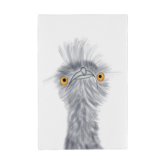 Emu bird ostrich