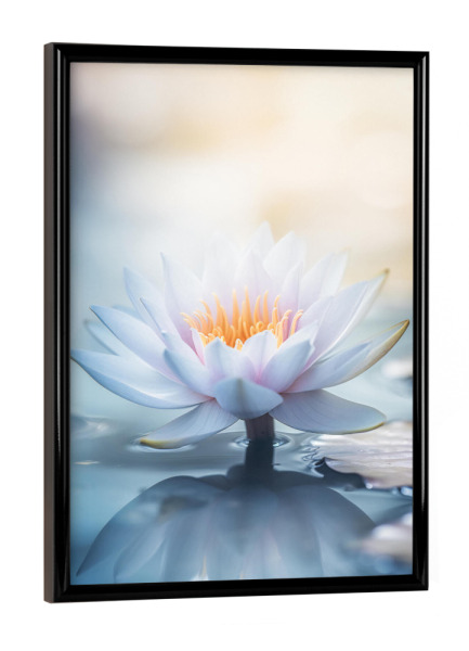 Poster mit schwarzem Rahmen "Perlentau Lotus" artboxONE - Natur,Floral,Liebe