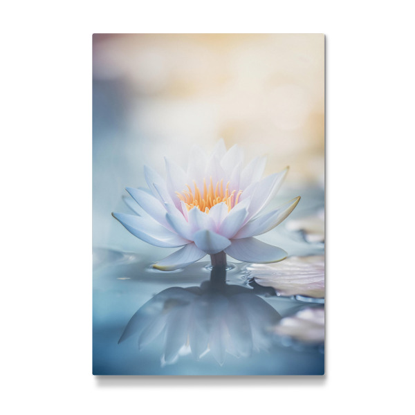 Galerie-Print "Perlentau Lotus" 30x20 cm artboxONE