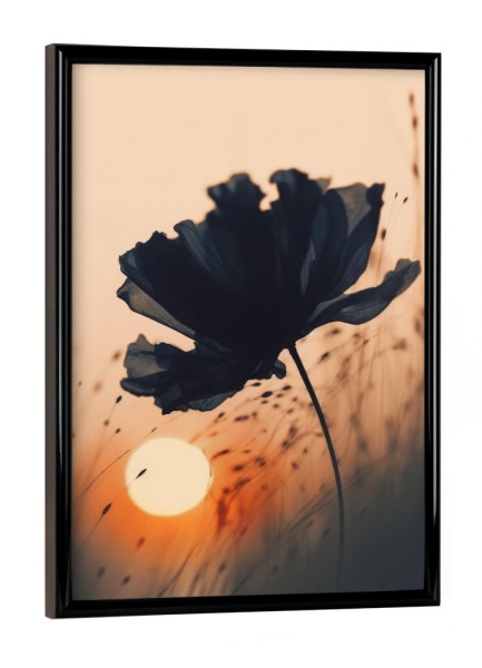 Poster mit schwarzem Rahmen "Blume Bei Sonnenuntergang" artboxONE - Natur,Floral,Für Mama