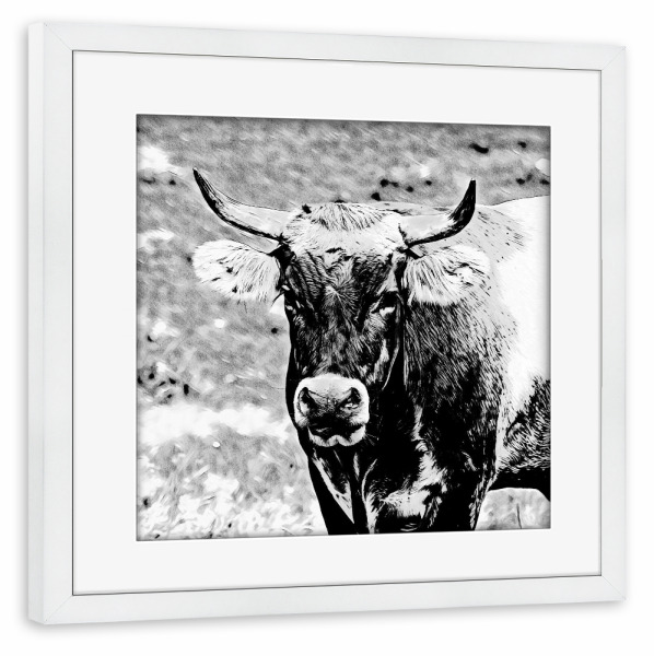 Poster mit Rahmen weiß "Stierportrait Strichzeichnung" artboxONE - Tiere,Schwarzweiß - Stier,Tier,Portrait,Schwarzweiß