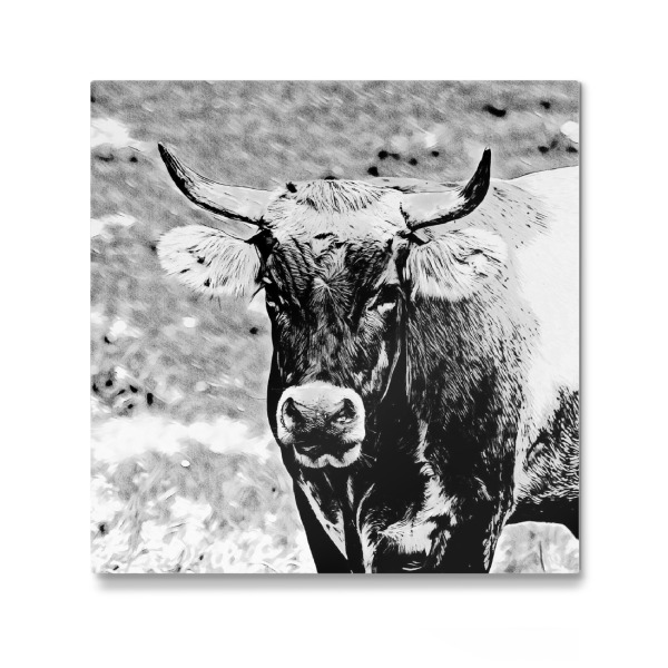 Galerie-Print "Stierportrait Strichzeichnung" 30x30 cm artboxONE