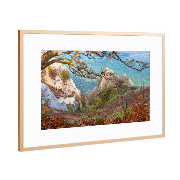 Poster mit Rahmen Kupfer "Kreidefelsen, Baum, Meer" artboxONE - Natur,Reise,Reise / Strand und Meer
