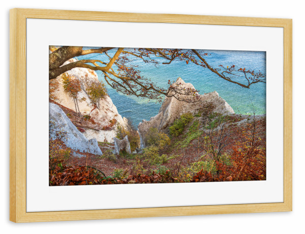 Poster mit Rahmen kiefer "Kreidefelsen, Baum, Meer" artboxONE - Natur,Reise,Reise / Strand und Meer
