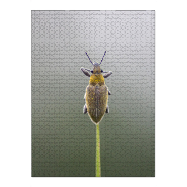 Puzzle Ravensburger "Insekten auf Grasflächen" artboxONE - Tiere,Abstrakt - Tier,Gelb,Foto,Fotografie,Makro,Insekt,Gut - Bild tier
