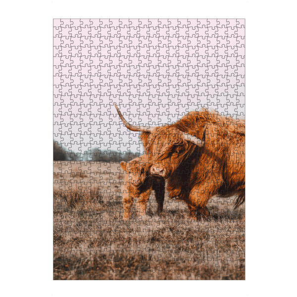 Puzzle Ravensburger "Hochland Rind mit ihrem Baby" artboxONE - Natur,Reise,Tiere