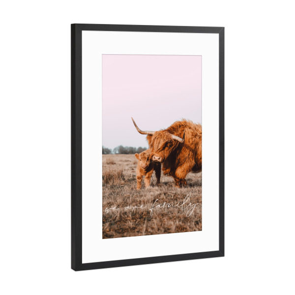 Poster mit Rahmen Schwarz (Metallic) "Hochland Rinder - we are family" artboxONE - Natur,Reise,Tiere