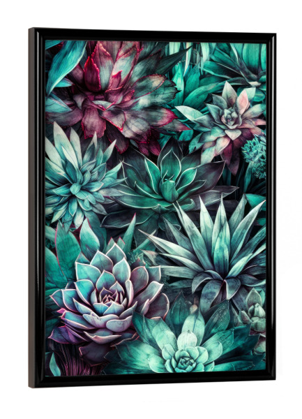 Poster mit schwarzem Rahmen "Sukkulenten und Kakteen I" artboxONE - Natur,Floral - Sukkulenten,Kakteen,Kaktus,Natur,Blumen,Botanische,Blatt,Blumen