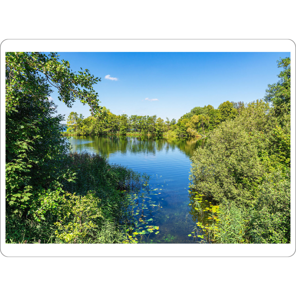 Tischset "Schaalsee mit Bäumen" artboxONE - Natur,Reise