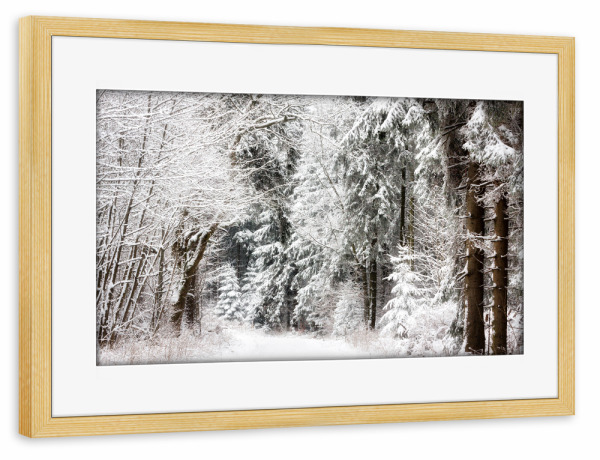 Poster mit Rahmen kiefer "Winter im Märchenwald" artboxONE - Natur,Reise,Floral,Weihnachten