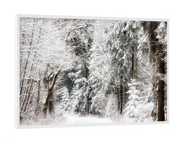 Poster mit weißem Rahmen "Winter im Märchenwald" artboxONE - Natur,Reise,Floral,Weihnachten