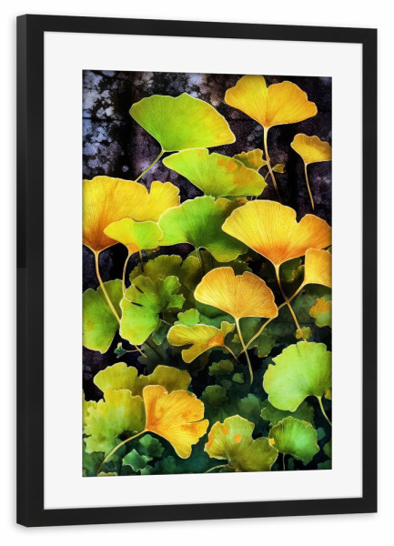 Poster mit Rahmen schwarz "Ginko Biloba K" artboxONE - Natur,Floral - Ginkgo,Biloba,Ginkgo biloba,Baum,Wald,Blätter,Natur