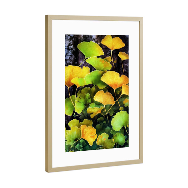 Poster mit Rahmen Gold "Ginko Biloba K" artboxONE - Natur,Floral - Ginkgo,Biloba,Ginkgo biloba,Baum,Wald,Blätter,Natur