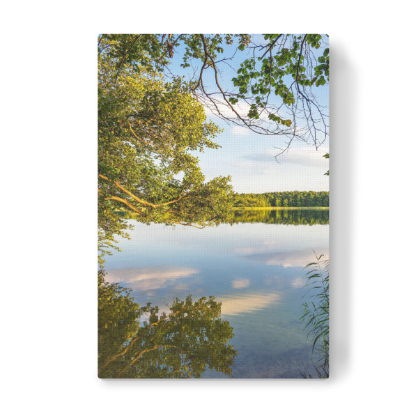 Leinwandbild "Bäume und Spiegelung" artboxONE - Natur,Reise