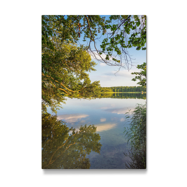 Galerie-Print "Bäume und Spiegelung" 30x20 cm artboxONE