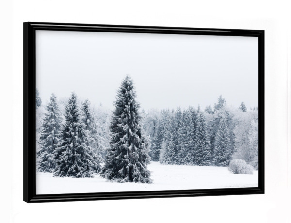 Poster mit schwarzem Rahmen "Hohe Tannen" artboxONE - Natur,Reise,Floral,Schwarzweiß,Weihnachten