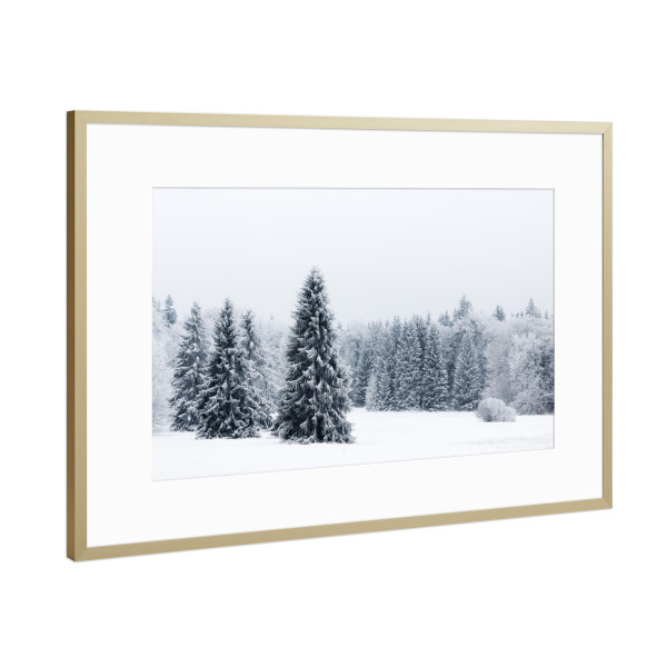Poster mit Rahmen Gold "Hohe Tannen" artboxONE - Natur,Reise,Floral,Schwarzweiß,Weihnachten