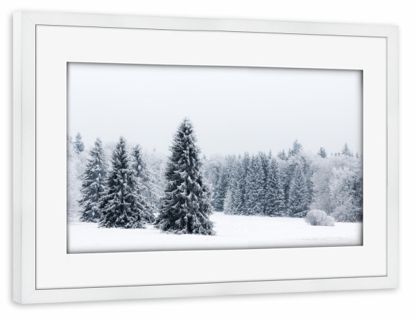 Poster mit Rahmen weiß "Hohe Tannen" artboxONE - Natur,Reise,Floral,Schwarzweiß,Weihnachten
