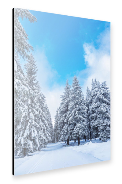 Alu-Dibond "Skiloipe, Schnee, Wald" 30x20 cm artboxONE