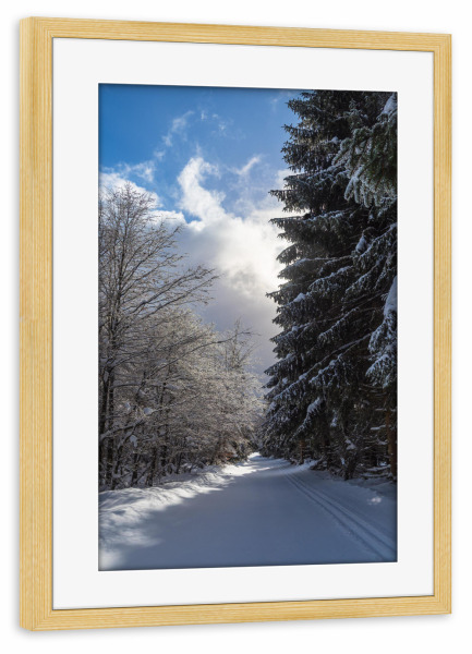 Poster mit Rahmen kiefer "Loipe, Wald, Schnee" artboxONE - Natur,Reise