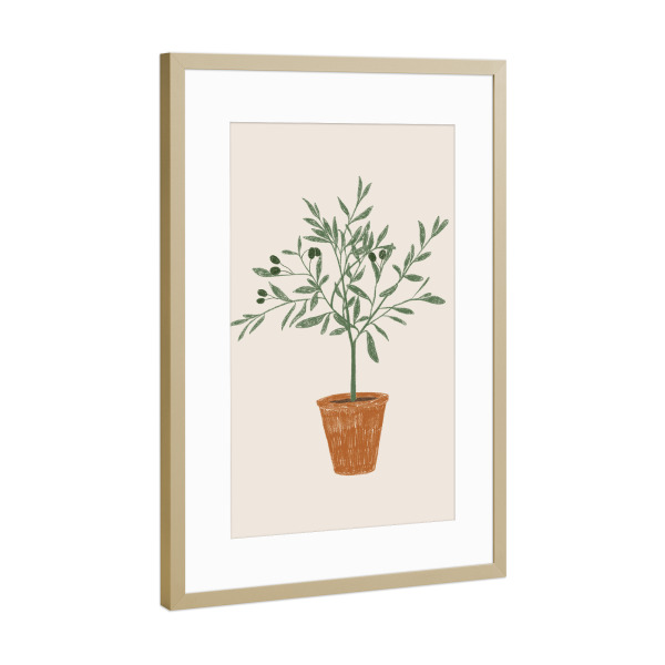 Poster mit Rahmen Gold "Kleiner Olivenbaum" artboxONE - Natur,Floral - Oliven,Olivenbaum,Vase,Natur,Malerei,Zeichnung