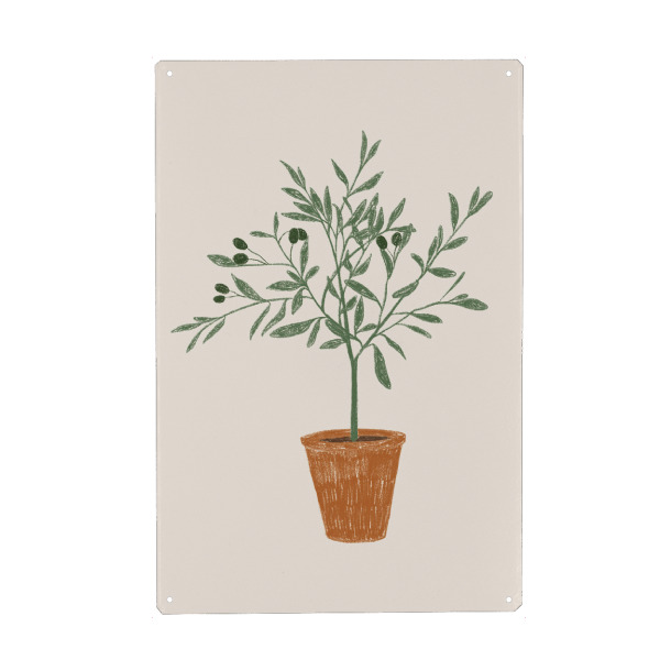 Metall Poster "Kleiner Olivenbaum" artboxONE - Natur,Floral - Oliven,Olivenbaum,Vase,Natur,Malerei,Zeichnung - Blechschild