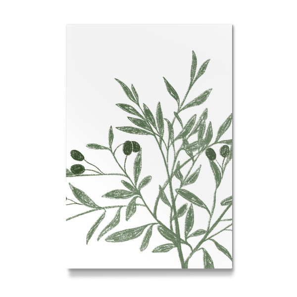 Galerie-Print "Olivenblätter" 30x20 cm artboxONE