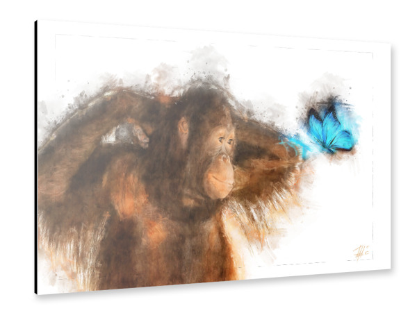 Alu-Dibond "Orang Utan und Schmetterling" 30x20 cm artboxONE