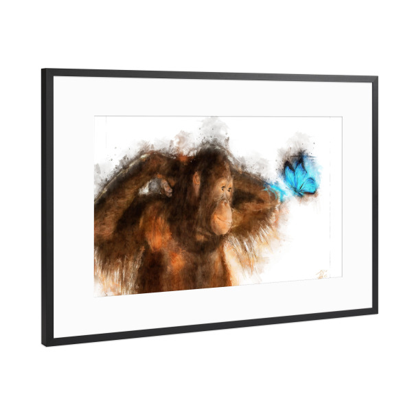 Poster mit Rahmen Schwarz (Metallic) "Orang Utan und Schmetterling" artboxONE - Natur,Tiere,Reise / Asien