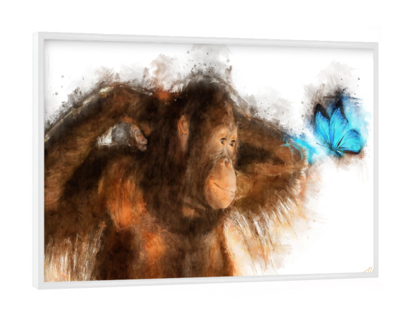 Poster mit weißem Rahmen "Orang Utan und Schmetterling" artboxONE - Natur,Tiere,Reise / Asien