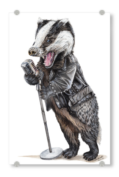 Acrylglasbild "Rock'n Badger" artboxONE - Tiere,Musik,Lustig - Tiere,Humor,Lustig,Rock n roll,Musik,Singen,Mikrofon,Dachs
