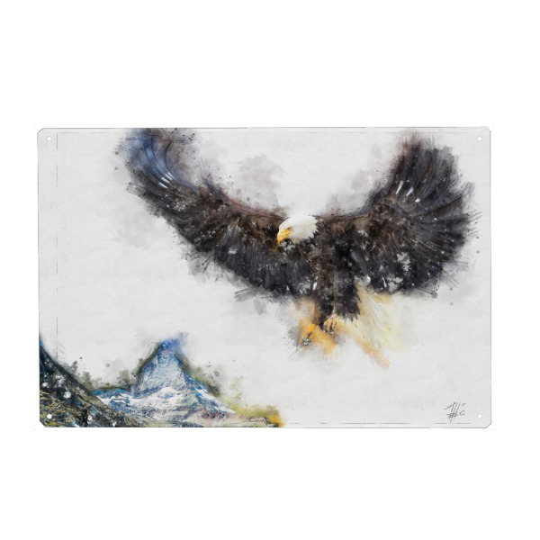 Metall Poster "Fliegender Adler am Matterhorn" artboxONE - Natur,Tiere,Reise / Länder