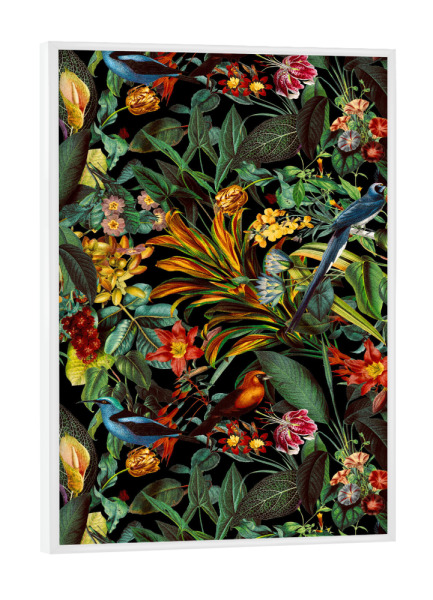 Poster mit weißem Rahmen "Vogelweltnacht" artboxONE - Natur,Floral,Tiere