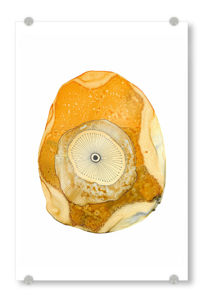 Acrylglasbild "Katherine Heald - Desert Beauty" artboxONE - Abstrakt - Abstrakt,Modern,Aquarell,Watercolour,Strich,Pinsel