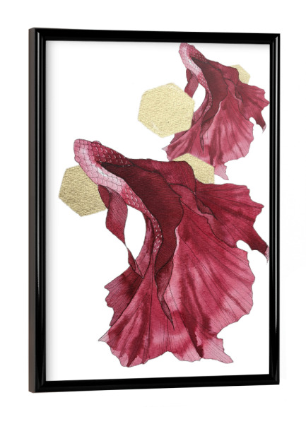 Poster mit schwarzem Rahmen "Red bettas" artboxONE - Tiere,Abstrakt,Unterwasser,Für Mama