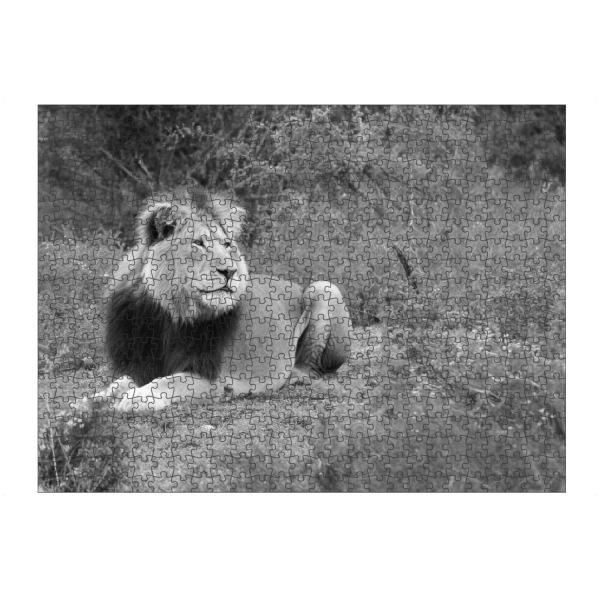 artboxONE Puzzle "Löwe Selbstsicherheit" artboxONE - Natur,Tiere,Schwarzweiß