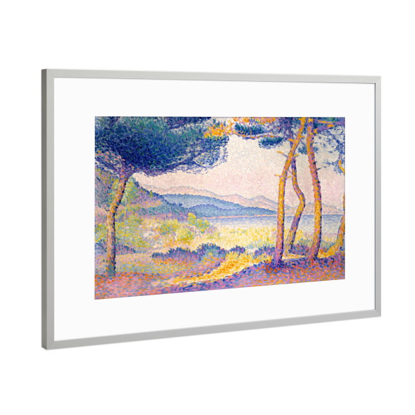 Poster mit Rahmen Silber "Kiefern entlang der Küste" artboxONE - Natur,Reise,Reise / Länder,Für Mama,Für Papa