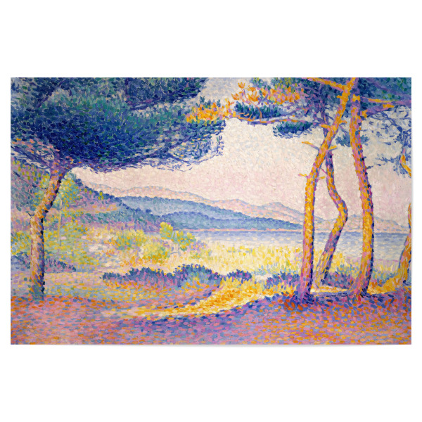 Poster 30x20 cm "Kiefern entlang der Küste" artboxONE - Natur,Reise,Reise / Länder,Für Mama,Für Papa