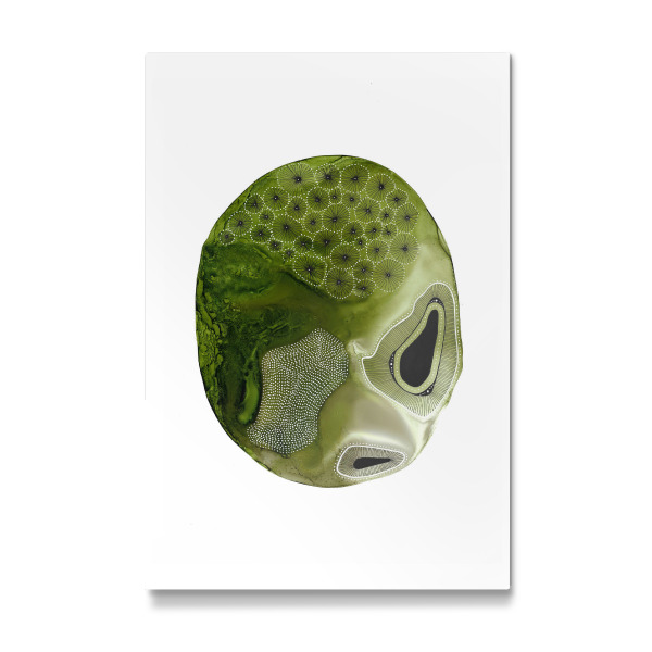 Galerie-Print "Katherine Heald - Frostin Duo" 30x20 cm artboxONE