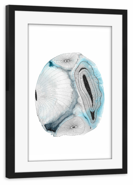 Poster mit Rahmen schwarz "Katherine Heald - Ocean Shells" artboxONE - Abstrakt,Unterwasser
