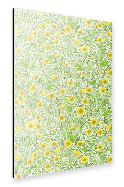 Alu-Dibond "Butterblumen auf Weiß" 30x20 cm artboxONE